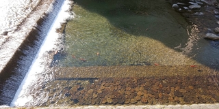 201112K8.jpg